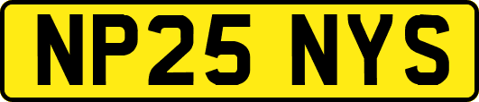 NP25NYS