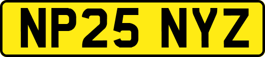 NP25NYZ