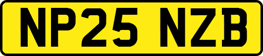 NP25NZB
