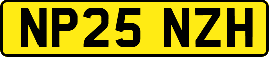 NP25NZH
