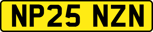 NP25NZN