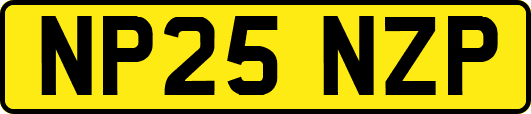 NP25NZP