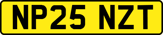 NP25NZT