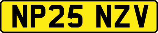 NP25NZV