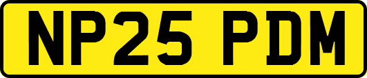 NP25PDM