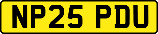 NP25PDU
