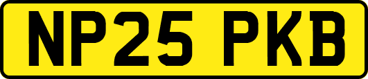 NP25PKB