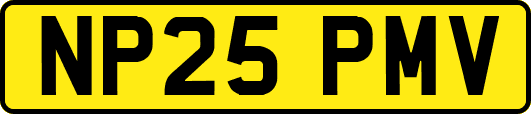 NP25PMV