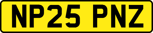 NP25PNZ
