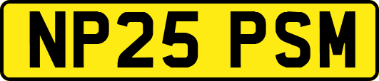 NP25PSM