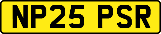 NP25PSR