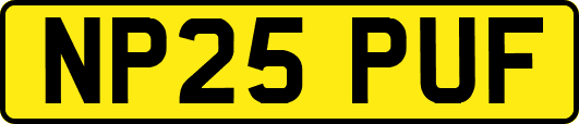 NP25PUF
