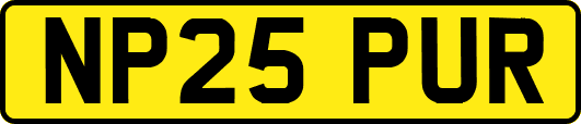 NP25PUR