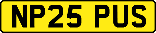 NP25PUS