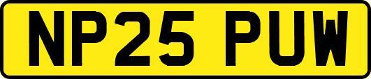 NP25PUW