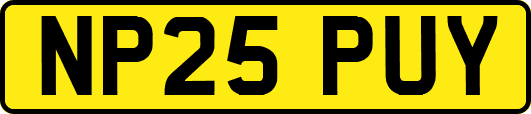 NP25PUY