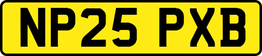 NP25PXB