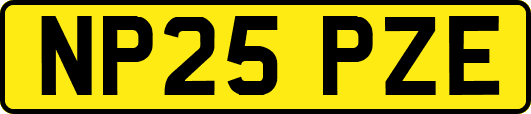 NP25PZE