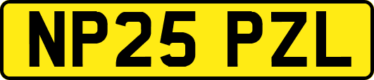 NP25PZL