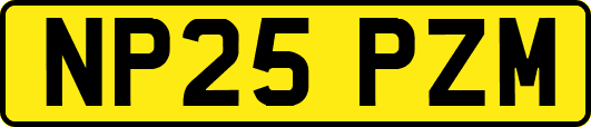 NP25PZM