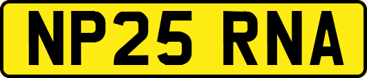 NP25RNA
