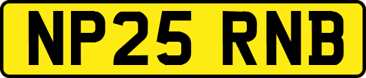 NP25RNB