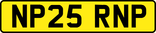 NP25RNP