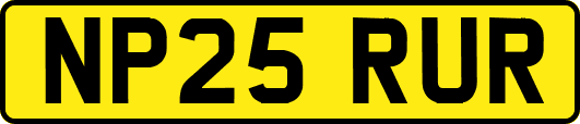 NP25RUR