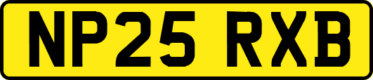 NP25RXB