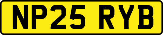 NP25RYB