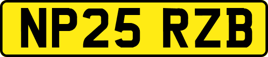 NP25RZB