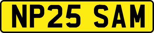 NP25SAM