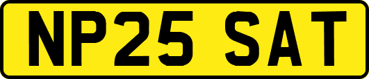 NP25SAT