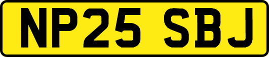 NP25SBJ