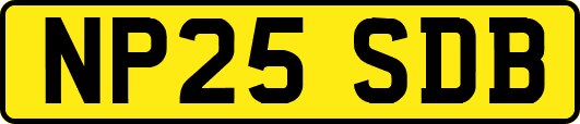 NP25SDB