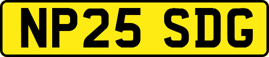NP25SDG
