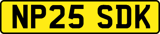 NP25SDK