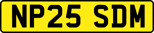 NP25SDM