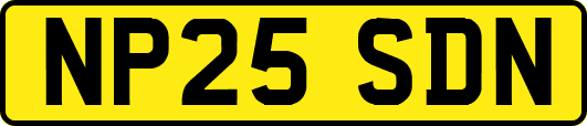 NP25SDN
