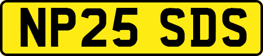 NP25SDS