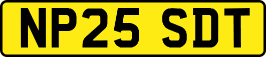 NP25SDT