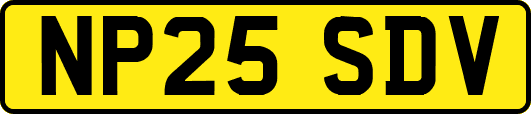 NP25SDV