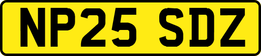 NP25SDZ