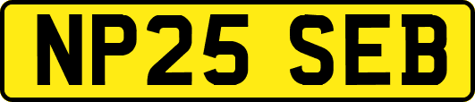 NP25SEB