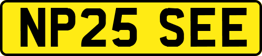 NP25SEE