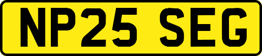 NP25SEG