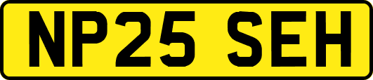 NP25SEH