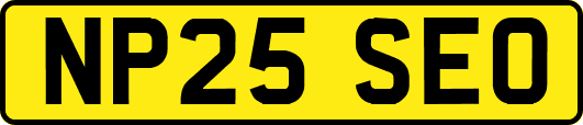 NP25SEO