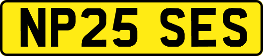 NP25SES