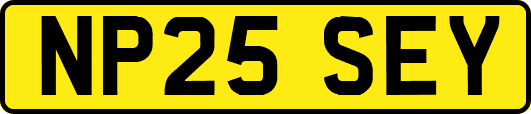 NP25SEY